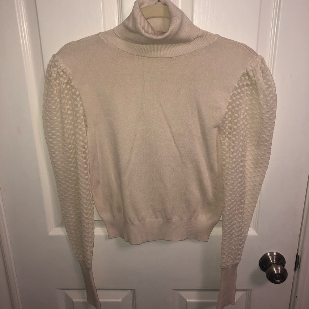 NWOT Zara Cream Turtle Neck Mesh Long Sleeves
